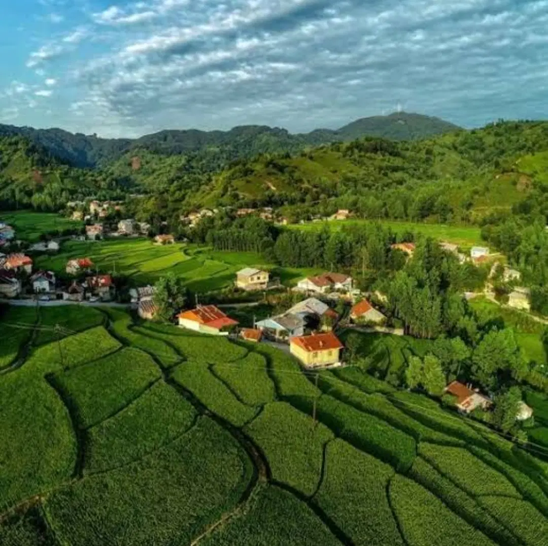 زمین با سند تجاری مسکونی