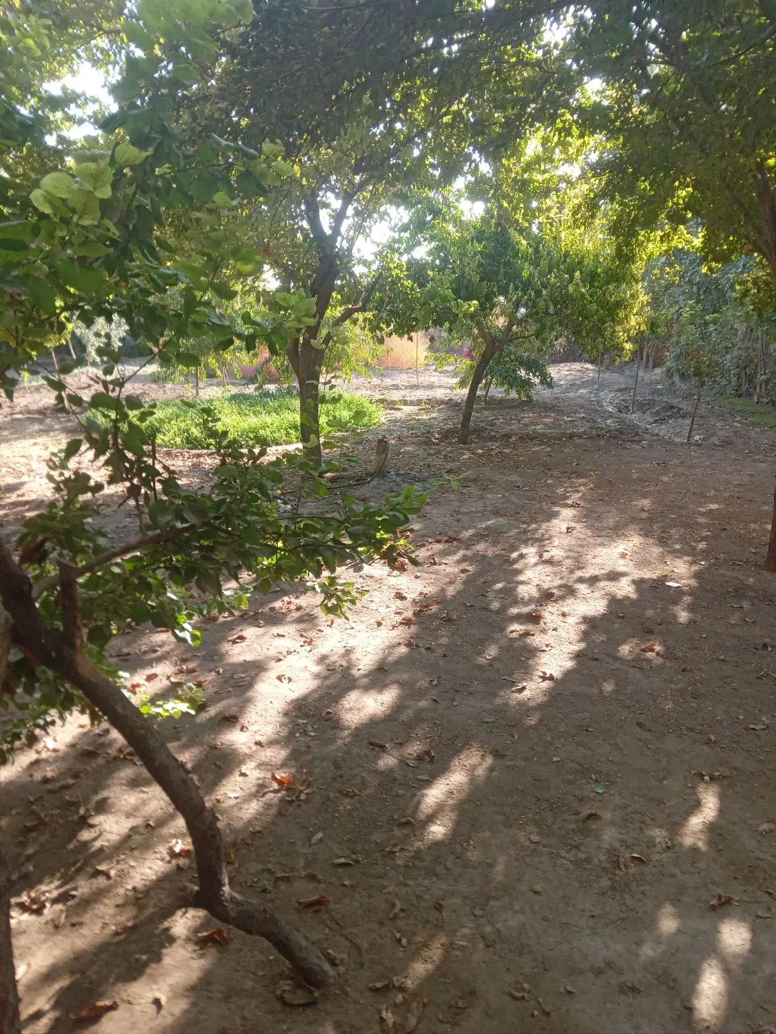 خانه ویلایی در دهپیاز