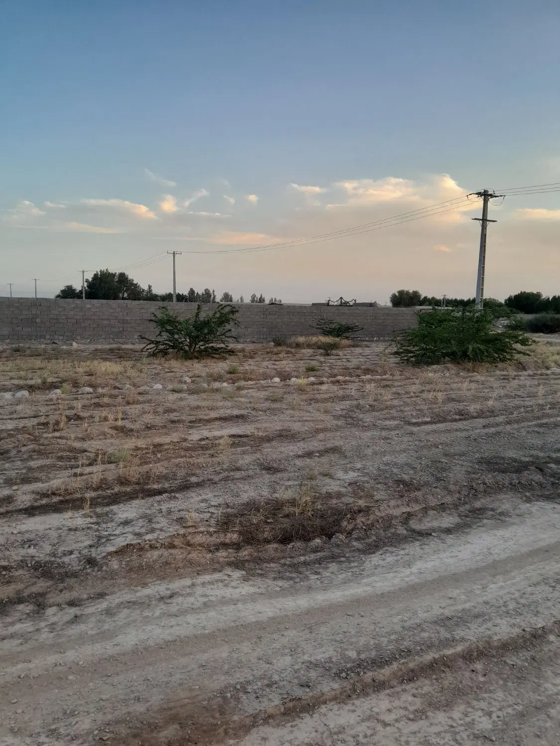 زمین در سرخون