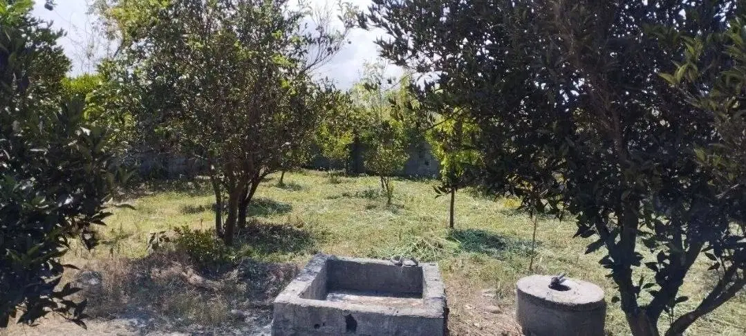 ۵۵۰متر باغ مرکبات قابل ساخت با انشعابات