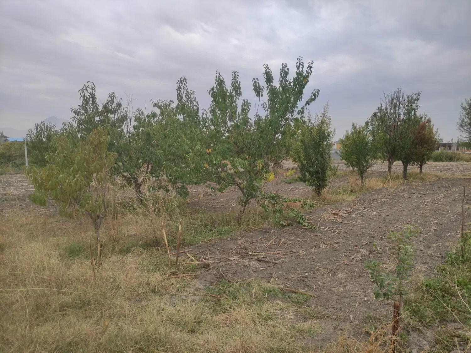 زمین با امکانات آب برق گاز
