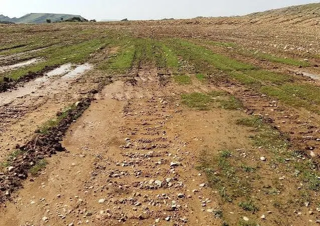 اجاره زمین محصور