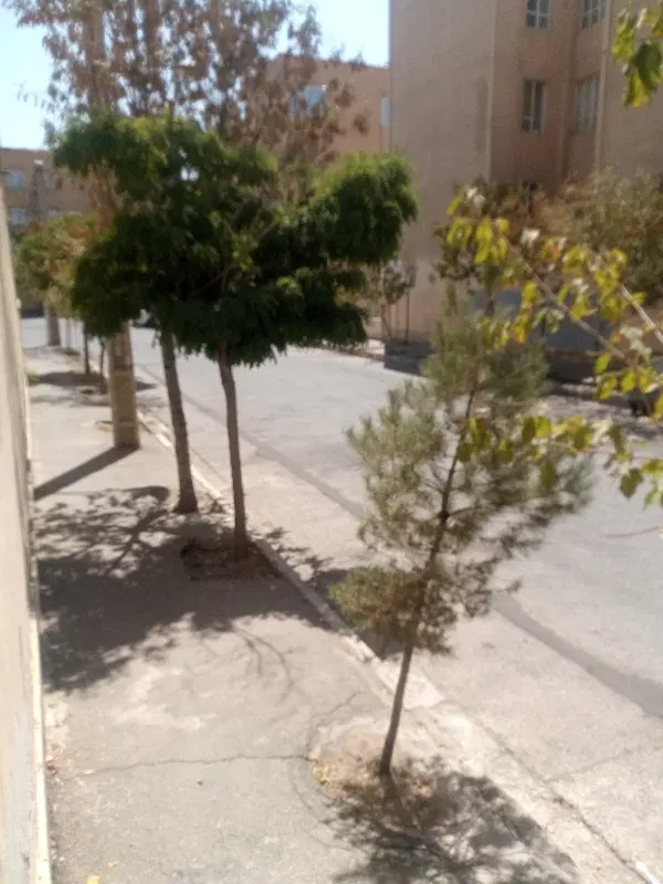 712متر زمین در مرند پشت باغ رضوان