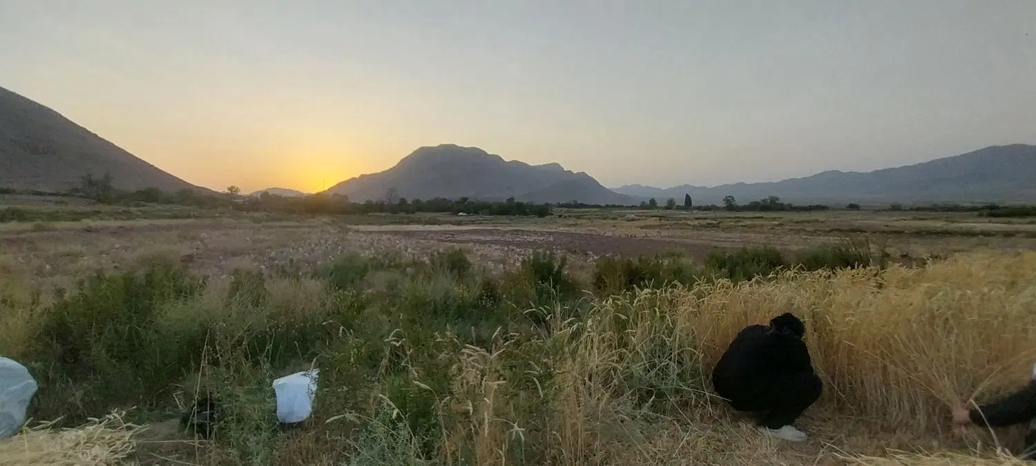 زمین فروشی باقراباد