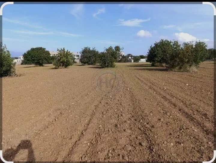 زمین در شهرک صنعتی