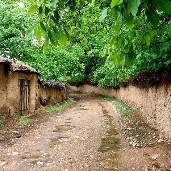 باغچه ی ۲۵۰ متری با درخت ثمری محمود آباد