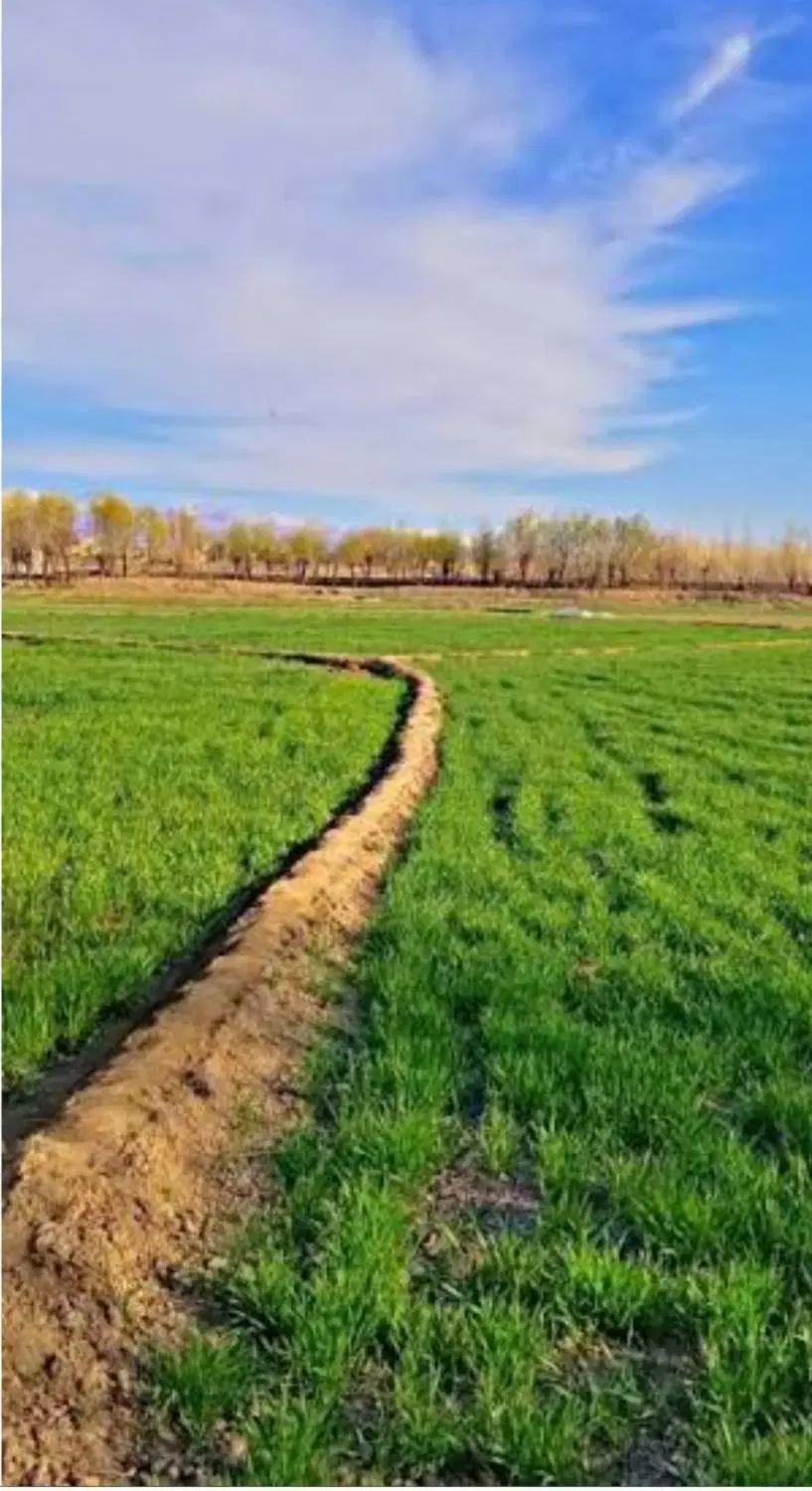 زمین کشاورزی