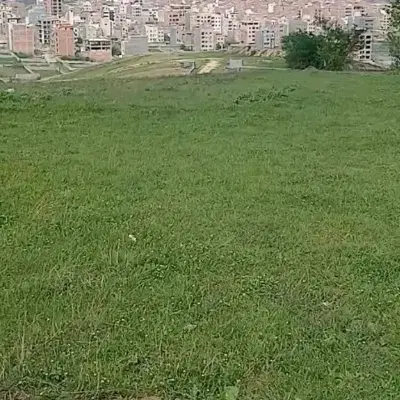 زمین ۹۱ متری طالقانی ، نزدیک به بافت
