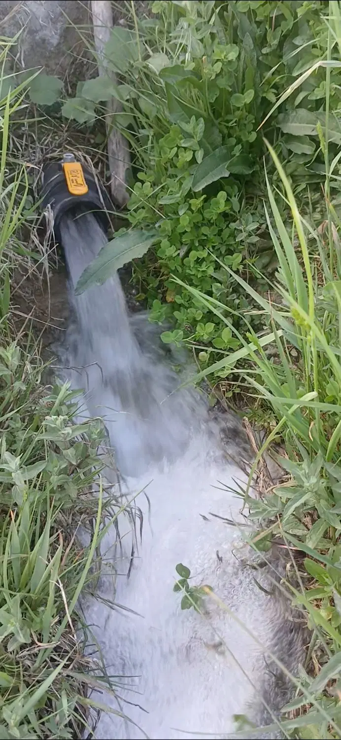 باغ با آب شخصی