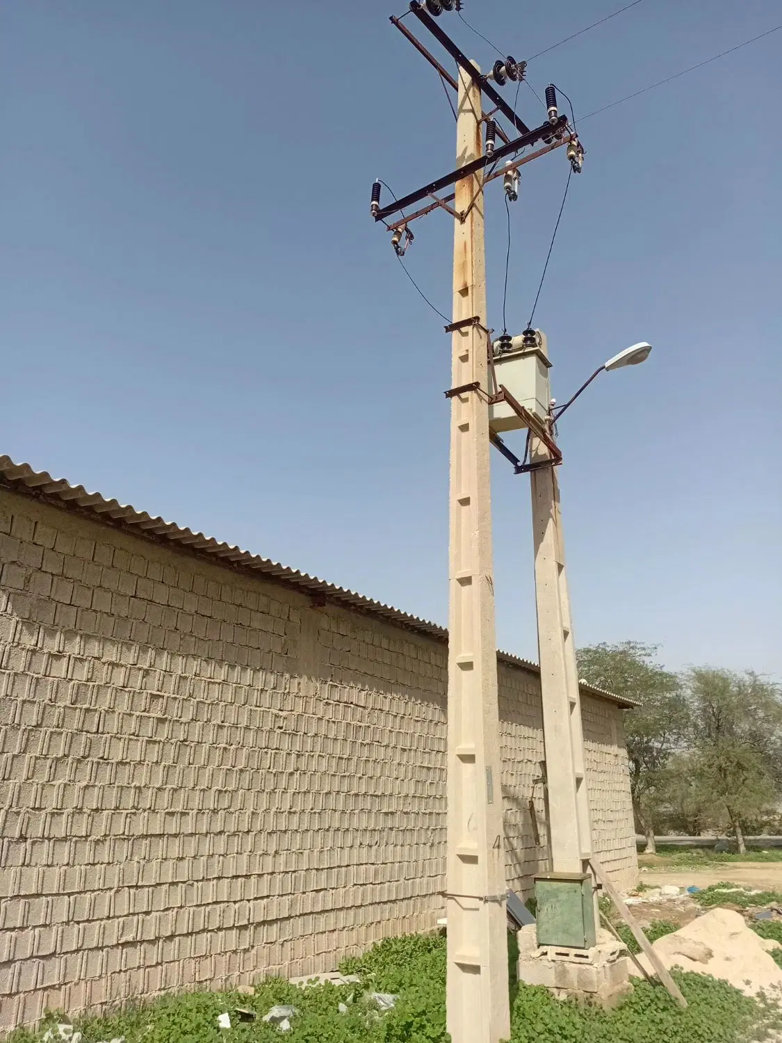 دامداری