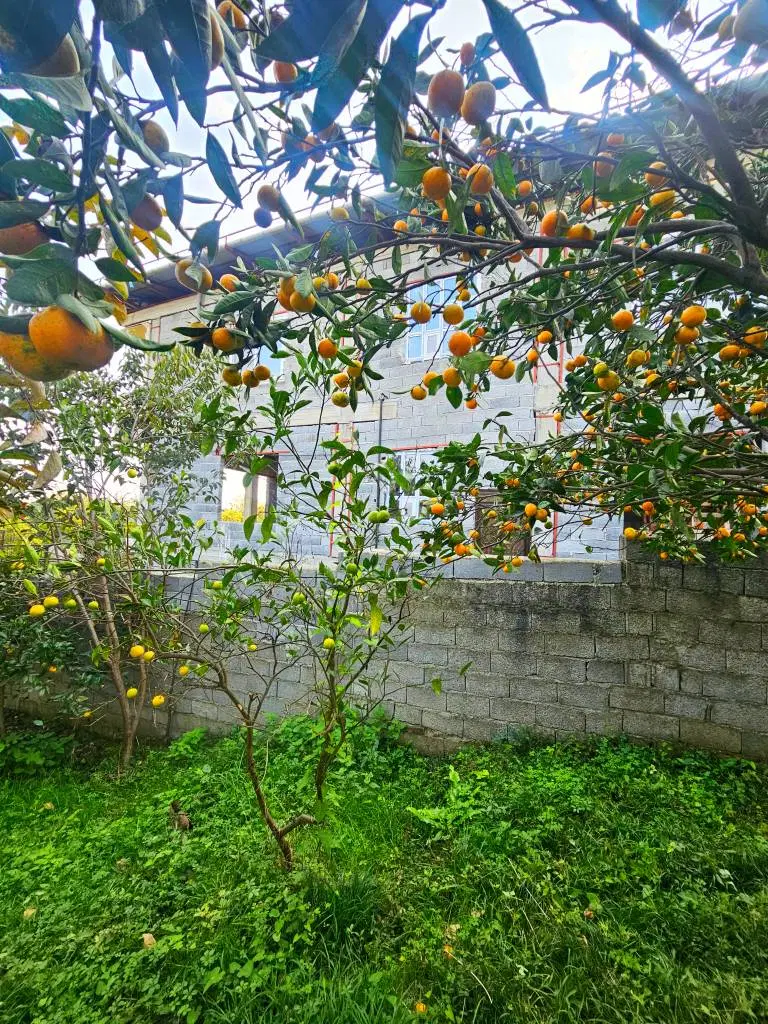 فروش زمین 493متری مسکونی  دوبر