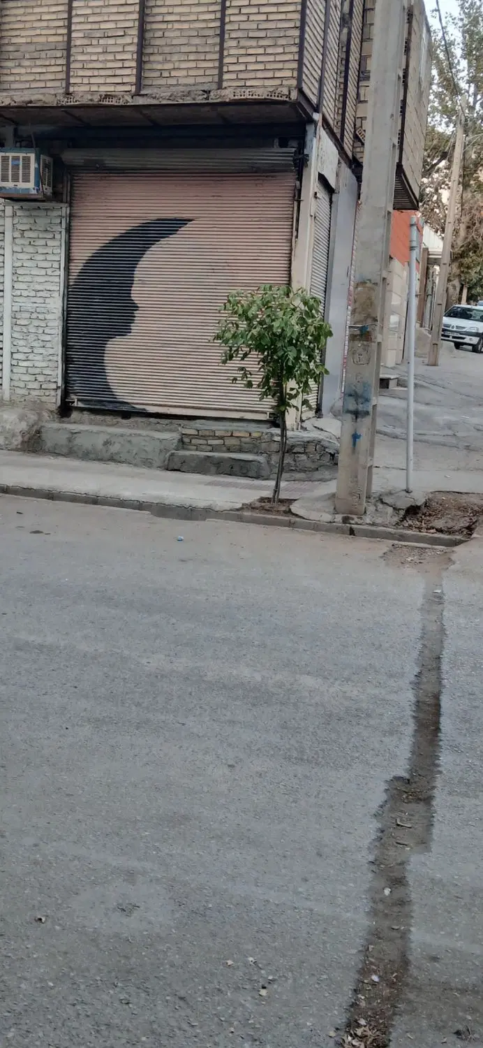اجاره مغازه ولیعصر