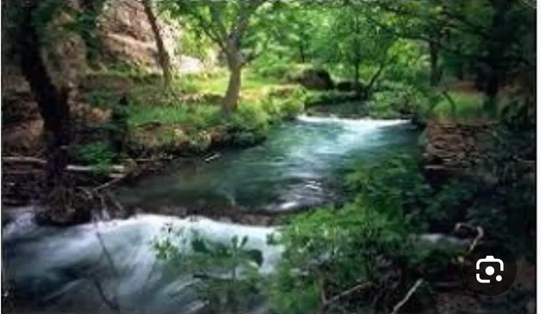 فروش باغ در روستای برناج بیستون