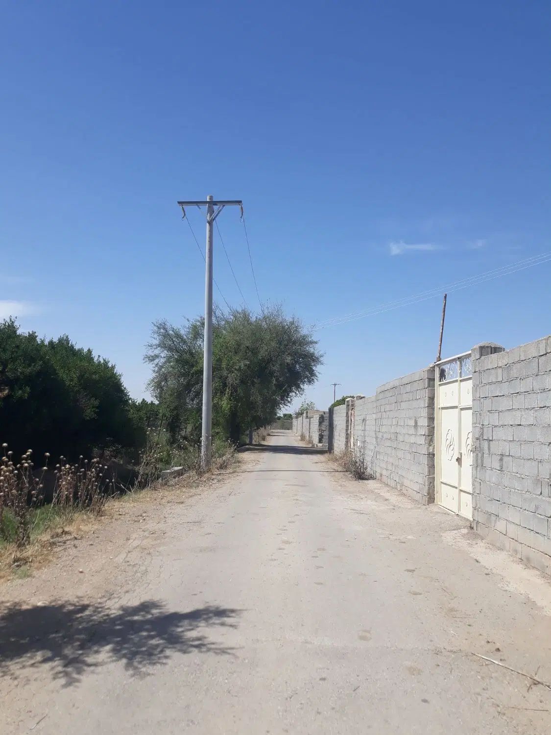باغچه