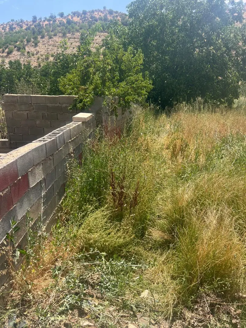 زمین گنجگان سر جاده اصلی شیراز