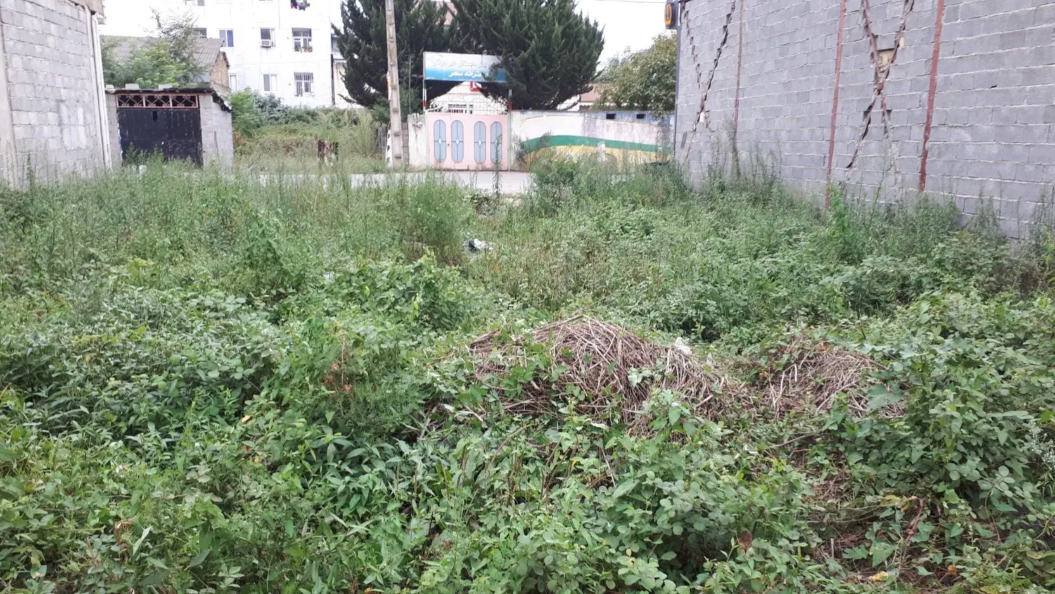 فروش ۲۵۰متر زمین مسکونی