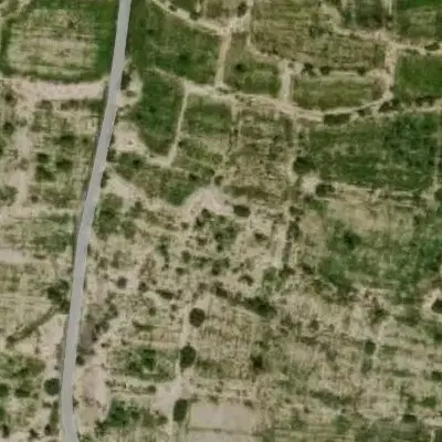 زمین ایسین محله نو