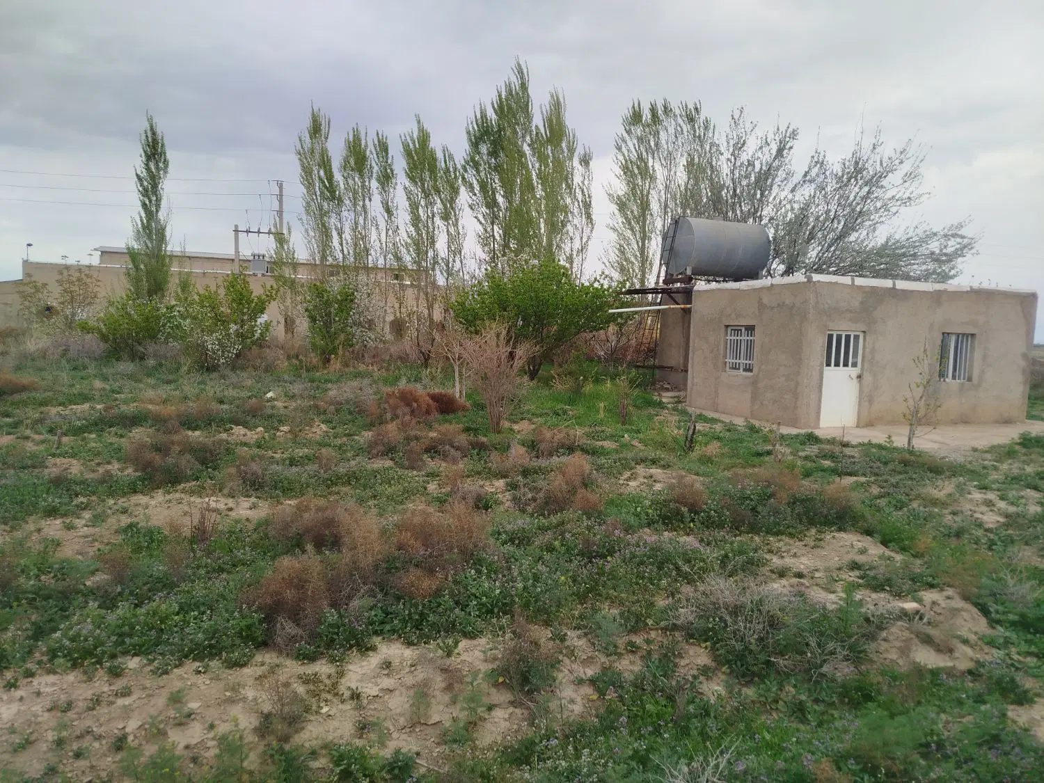 زمین کشاورزی