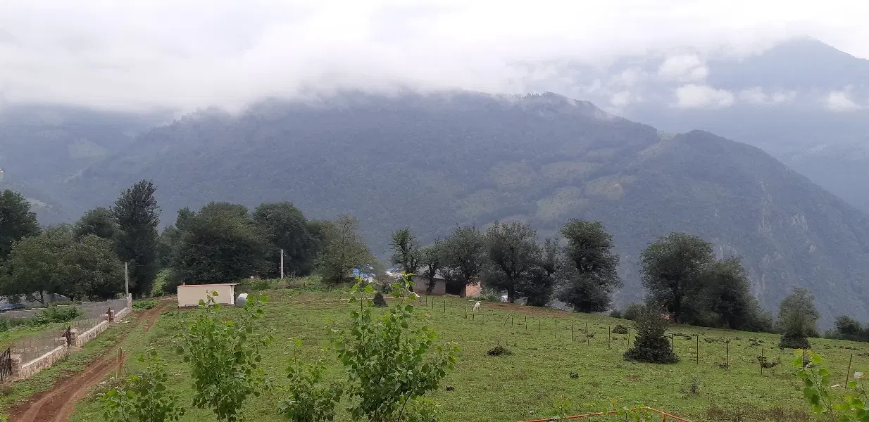 زمین درجه یک جاده چالوس