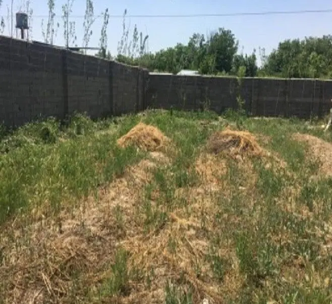 ۱۰۰۰متر زمین در روستای رامجین