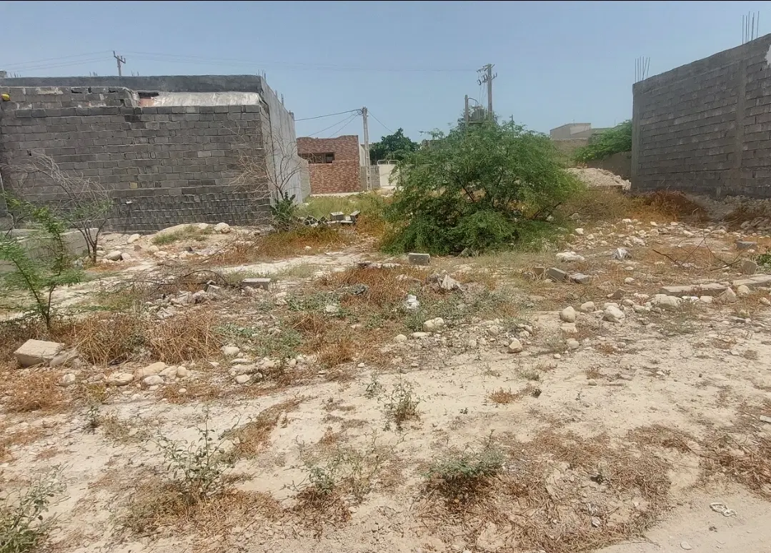 زمین ۲۱۰ متری سند تک برگ در بردستان