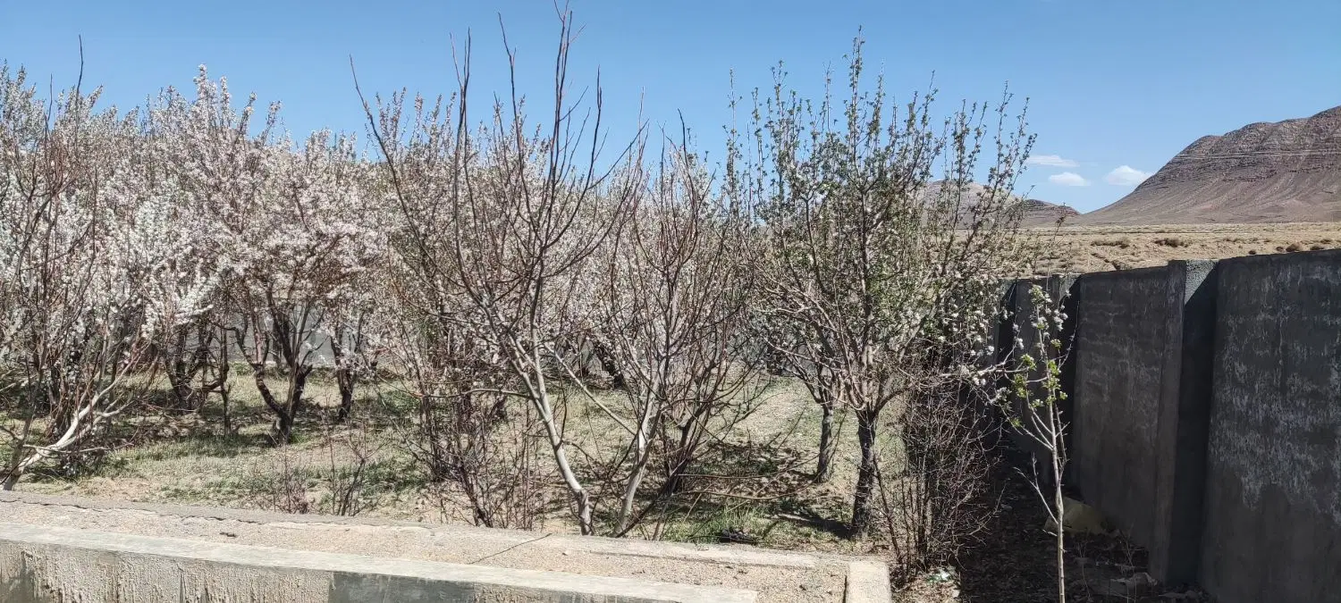 باغ ندوشن مزرعه امین