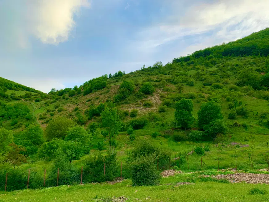 زمین باغی با محصول و بدون‌ محصول