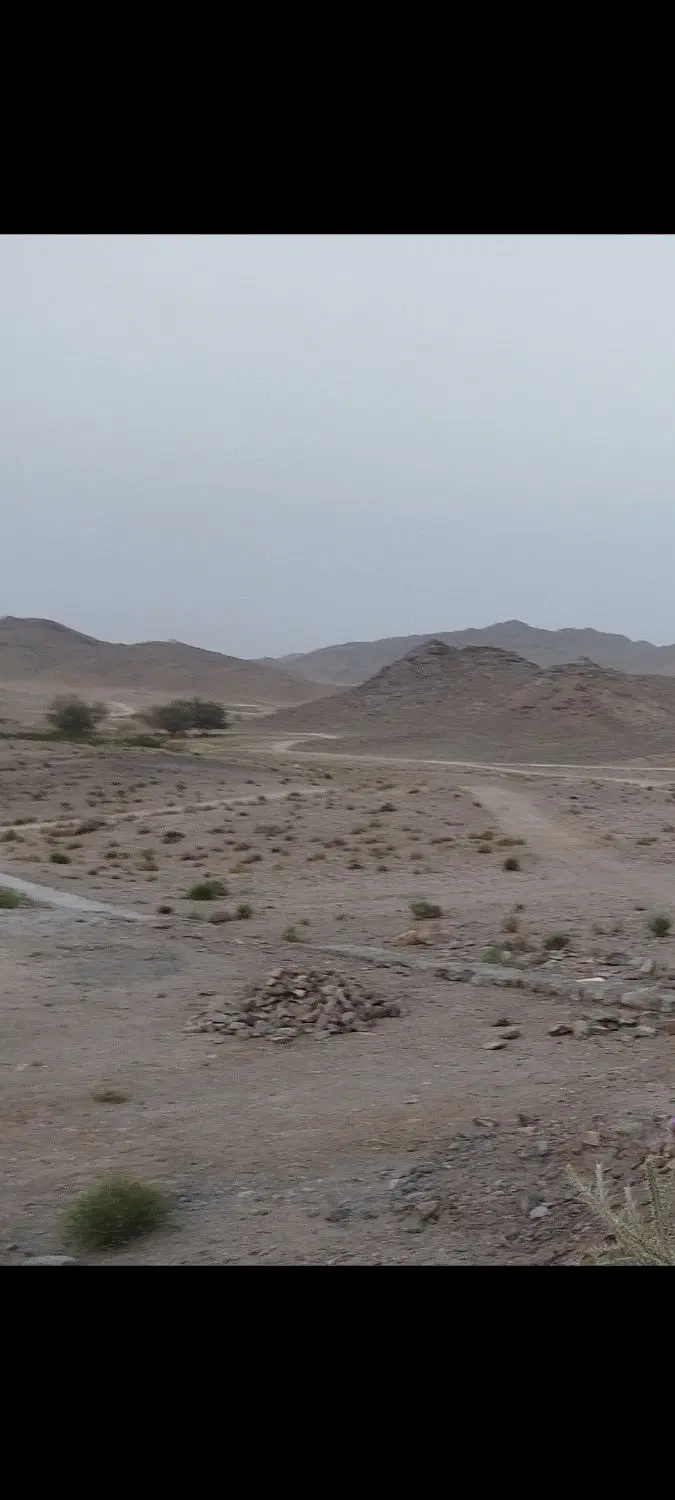 زمین فروشی