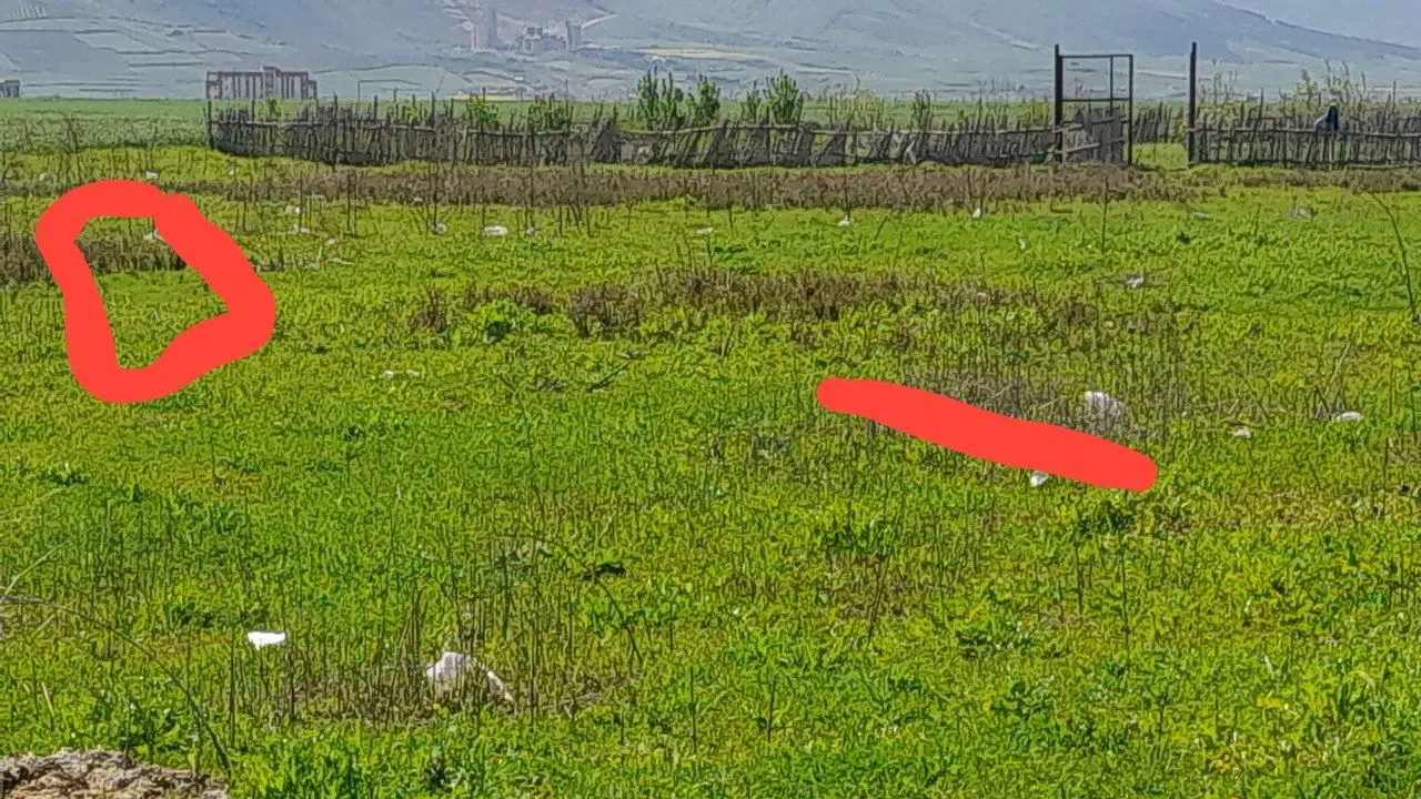 ۲۴۰ متر زمین در کوسه