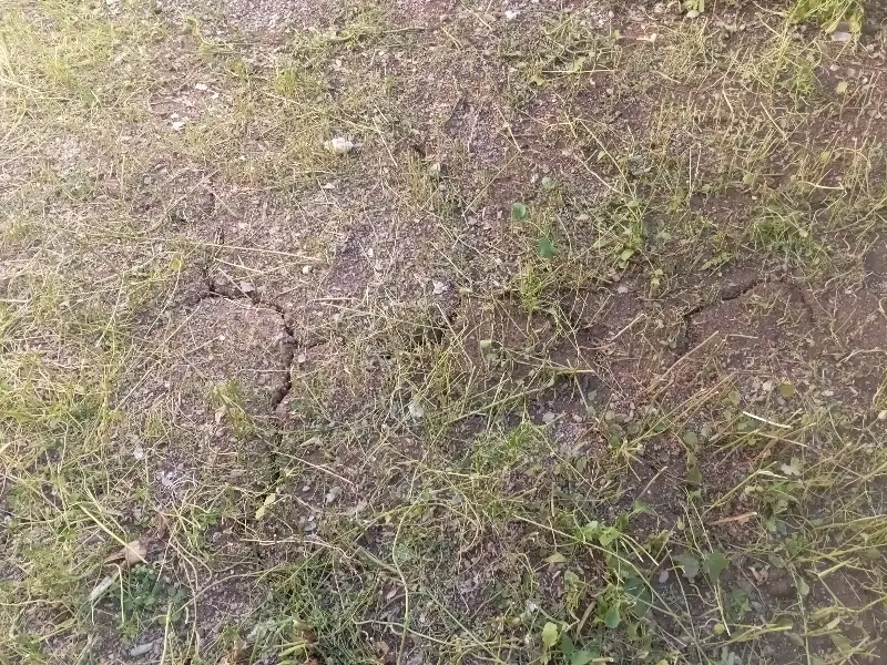 زمین برای خانه باغ