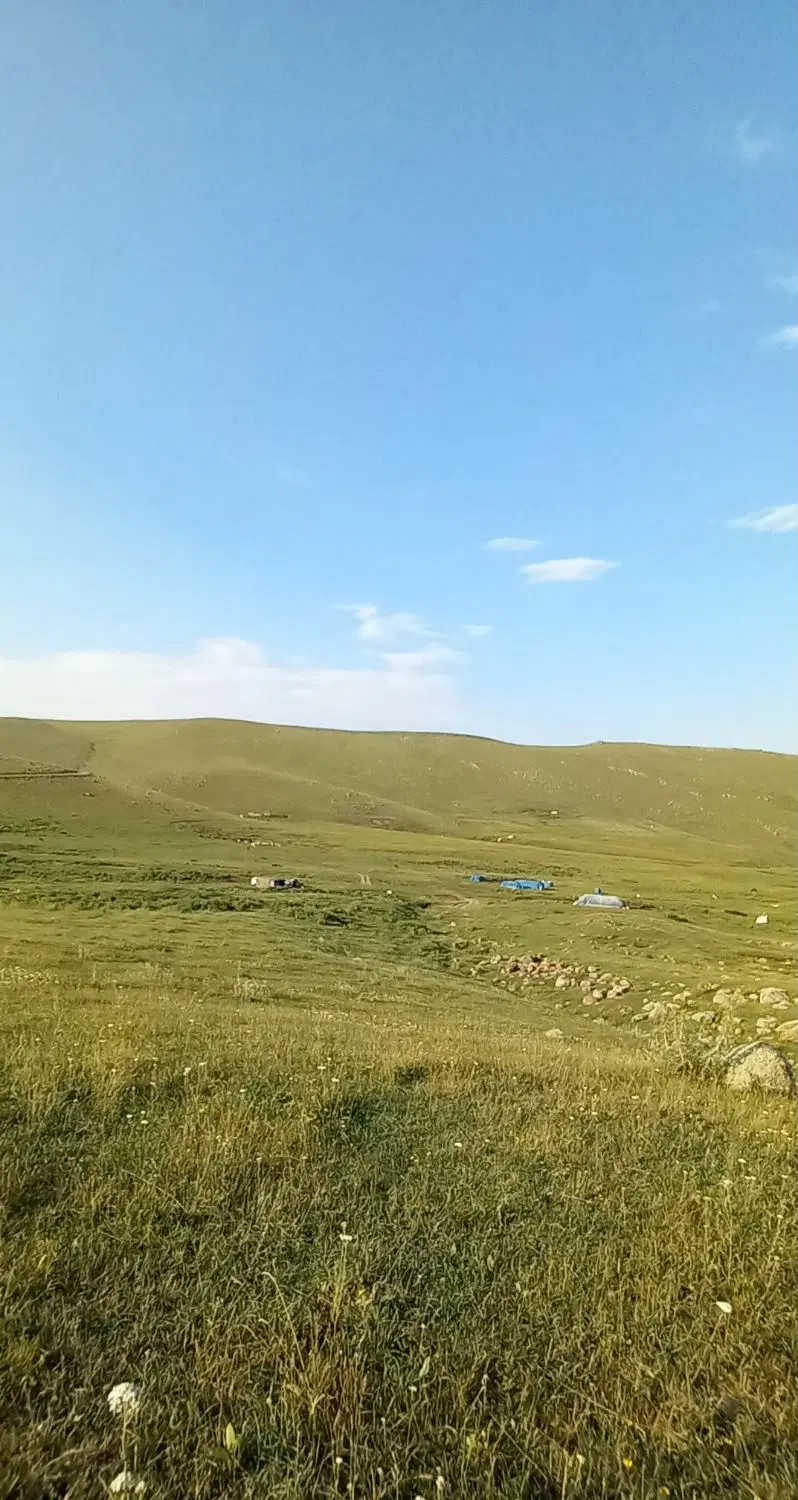 زمین میر اشرف ۲۵۰ متر