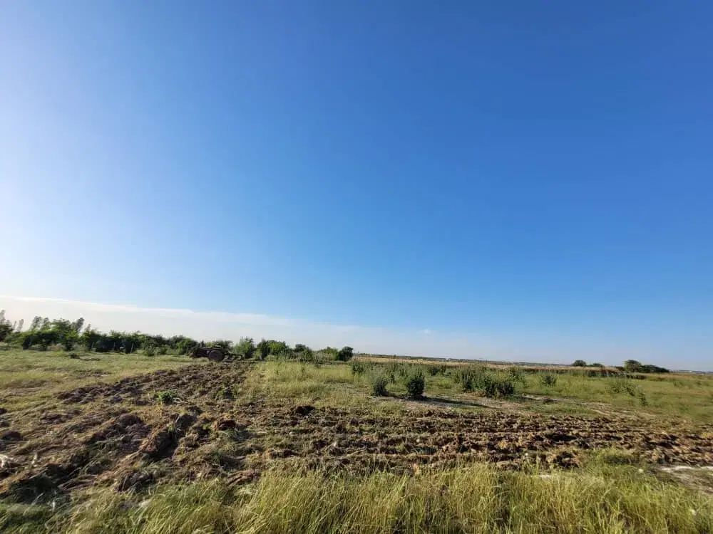 زمین کشاورزی وباغی