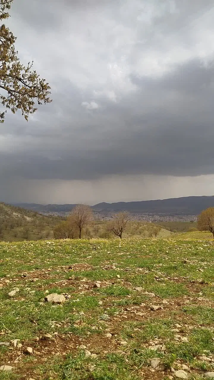 زمین