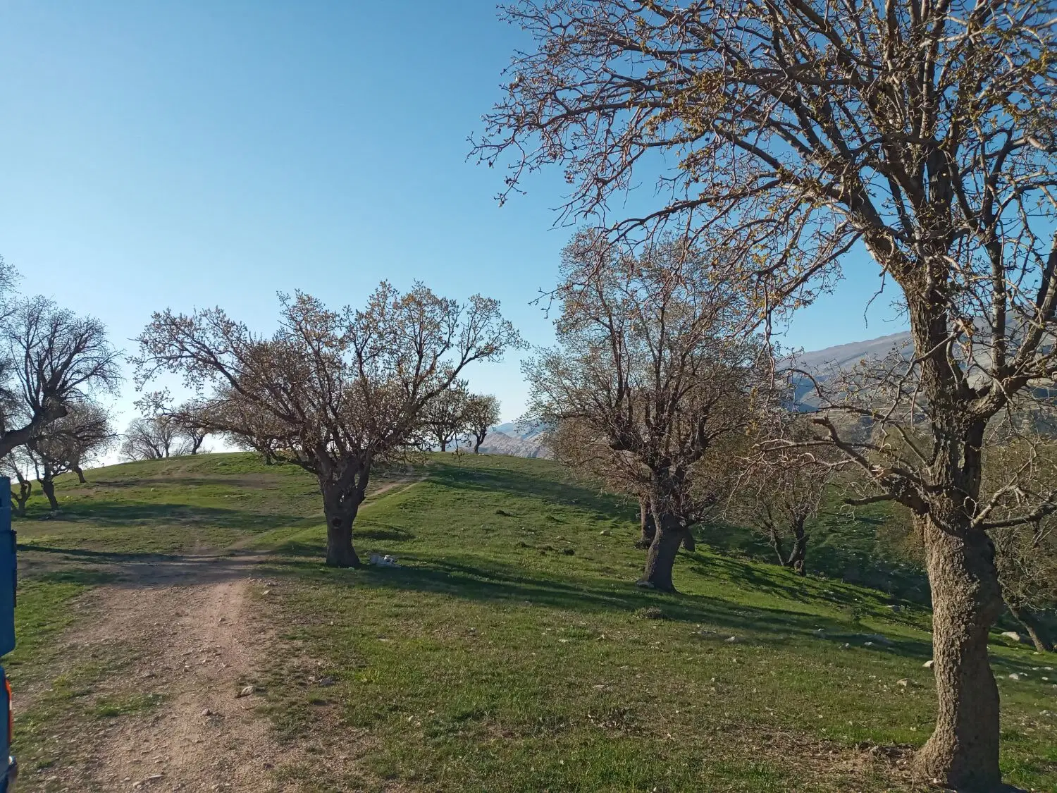 زمین مسکونی