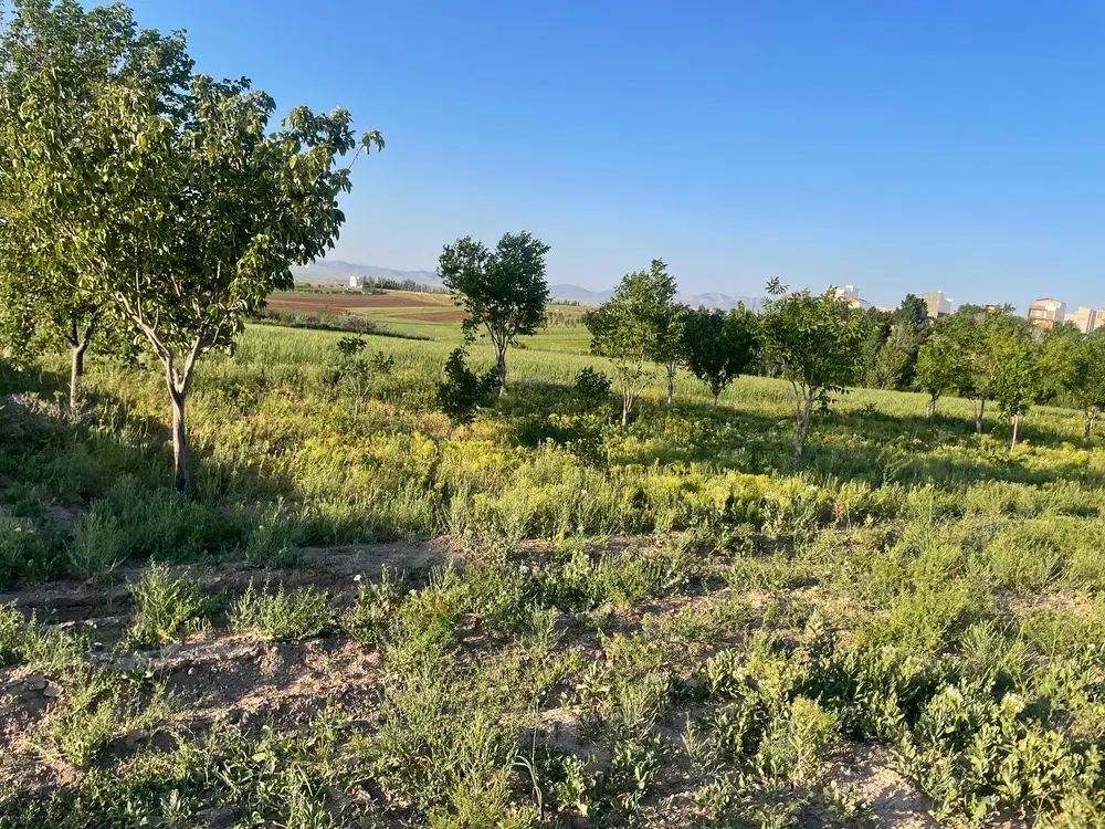 زمین مسکونی مجوزدار
