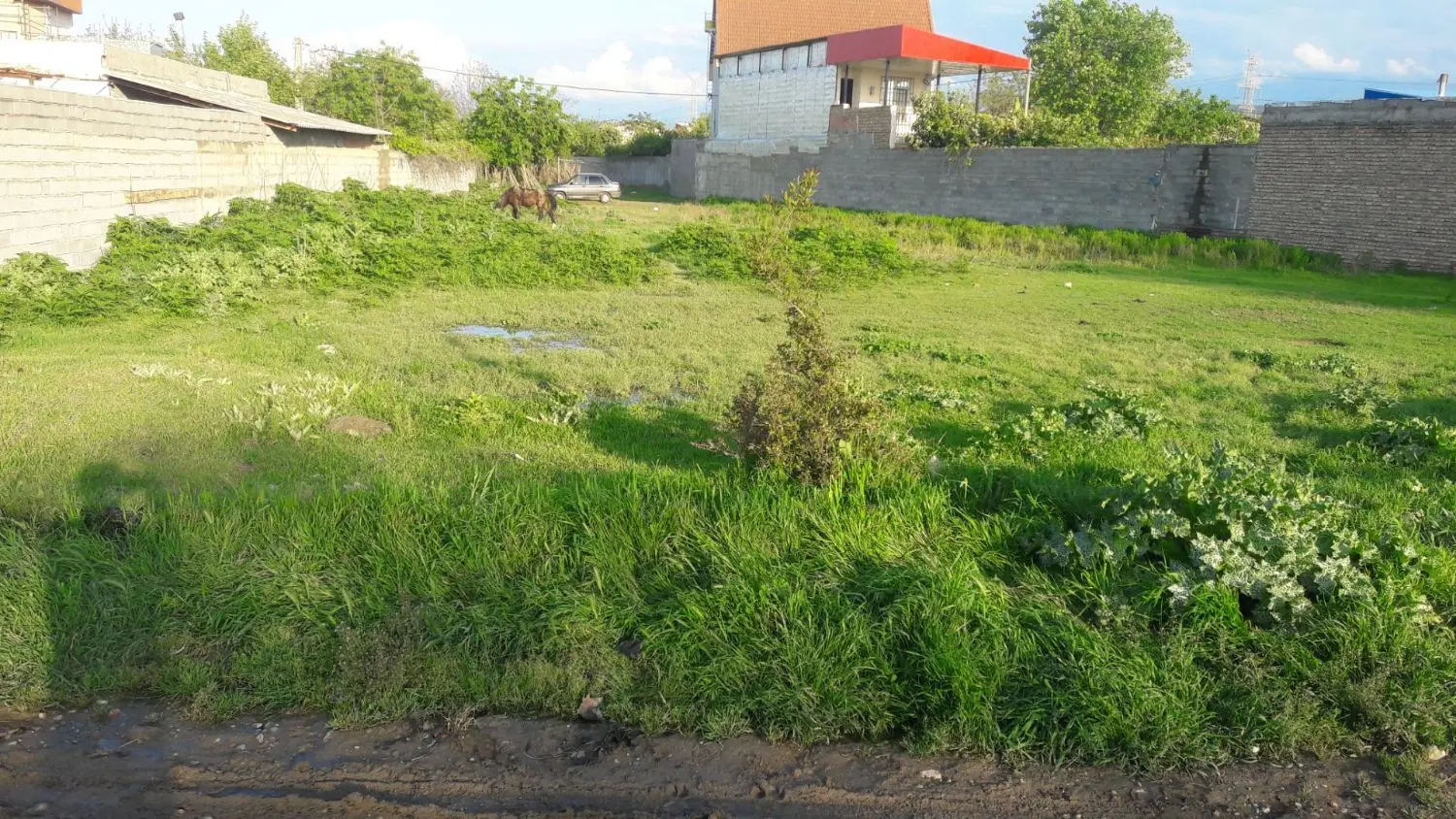 یک قطعه زمین به متراژ ۴۹۳متر