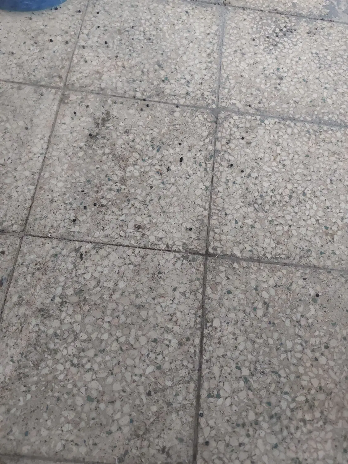اجاره یک باب منزل مسکونی