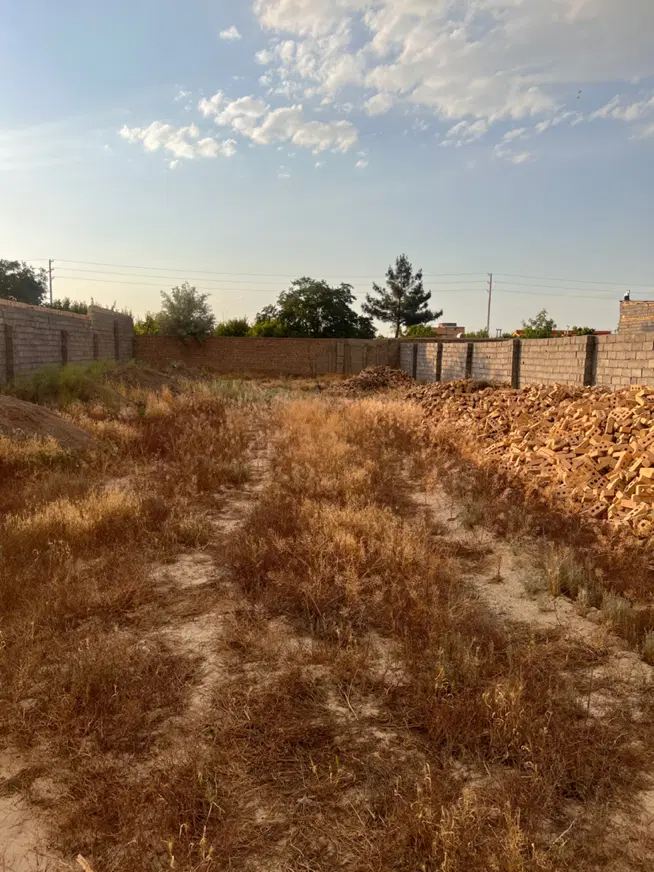 عسکریه 24