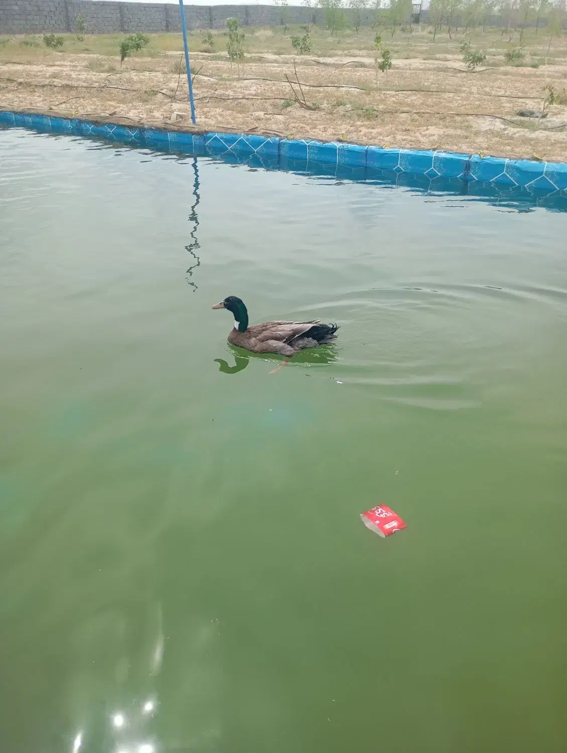 باغ‌ویلا‌‌باکلیه‌امکانات‌آب‌وگاز