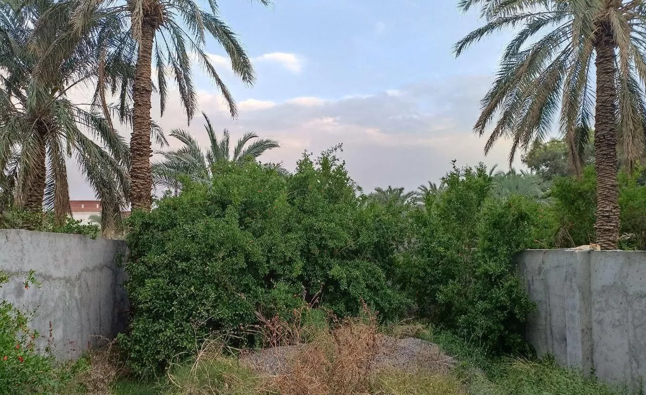 طالقانی ،لب مفتح، با موقعیت تجاری