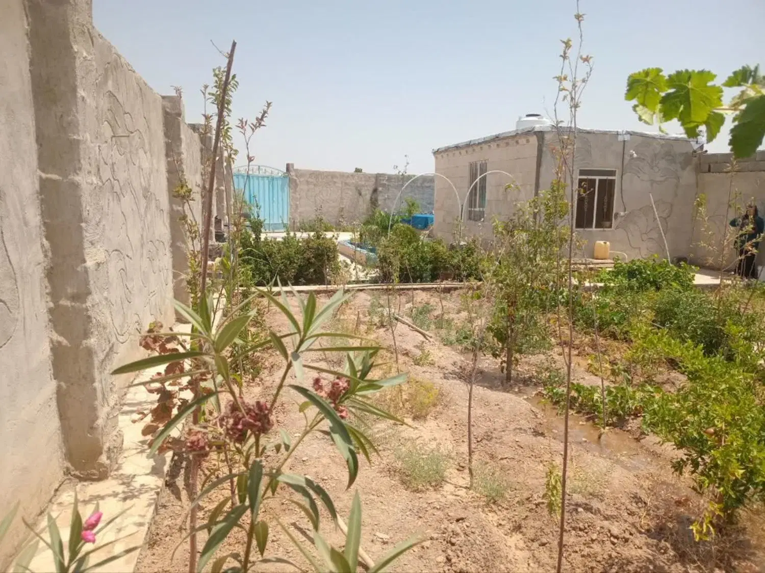 باغ فروشی
