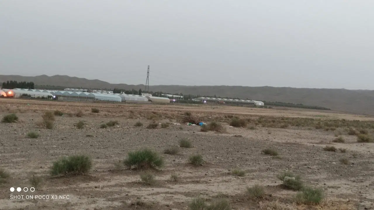 زمین ویلایی،دامداری،گلخانه