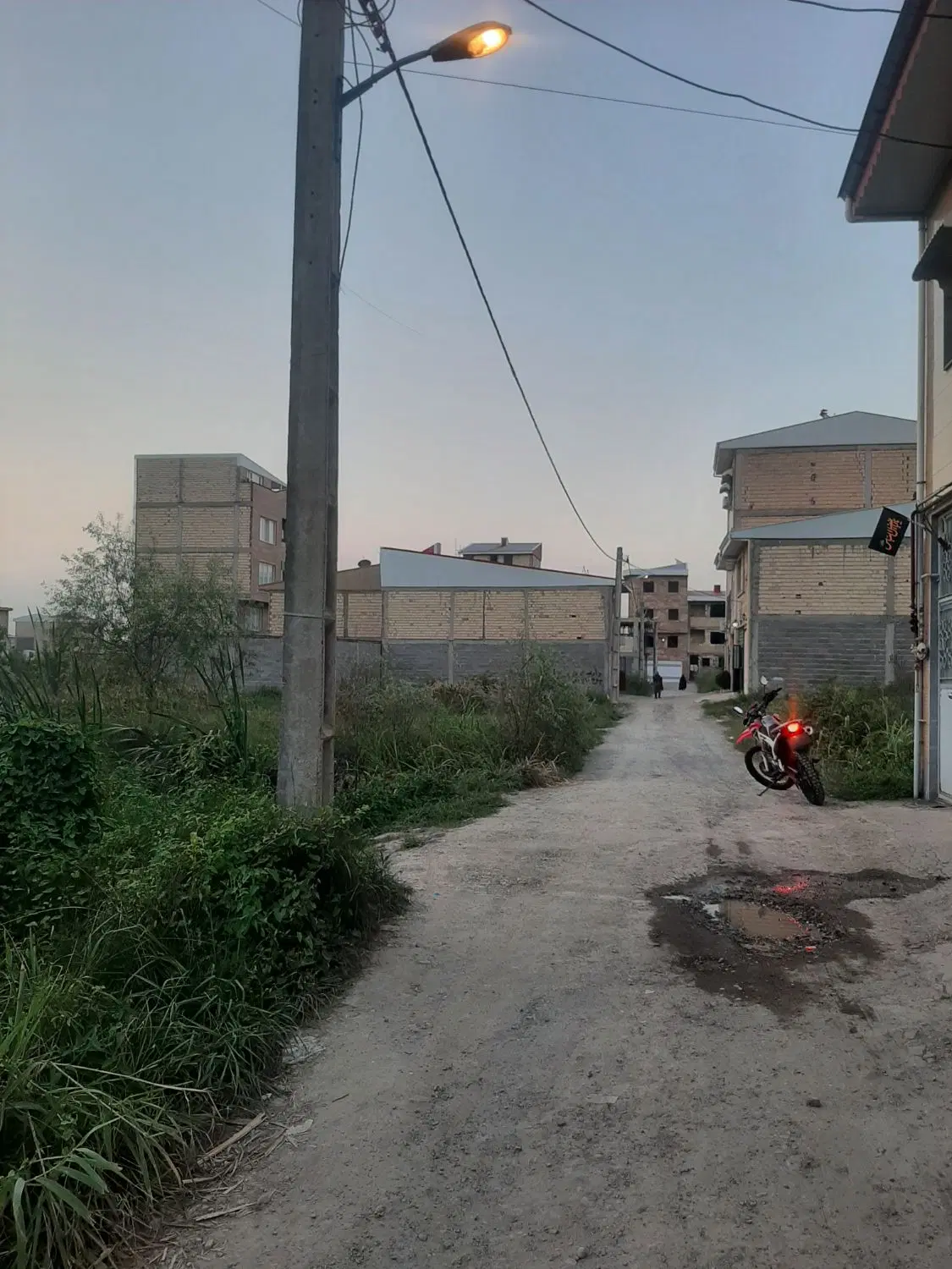 زمین در گلها