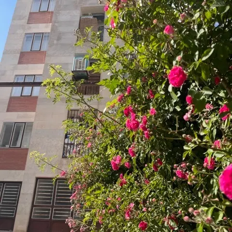شهرک مدنی
