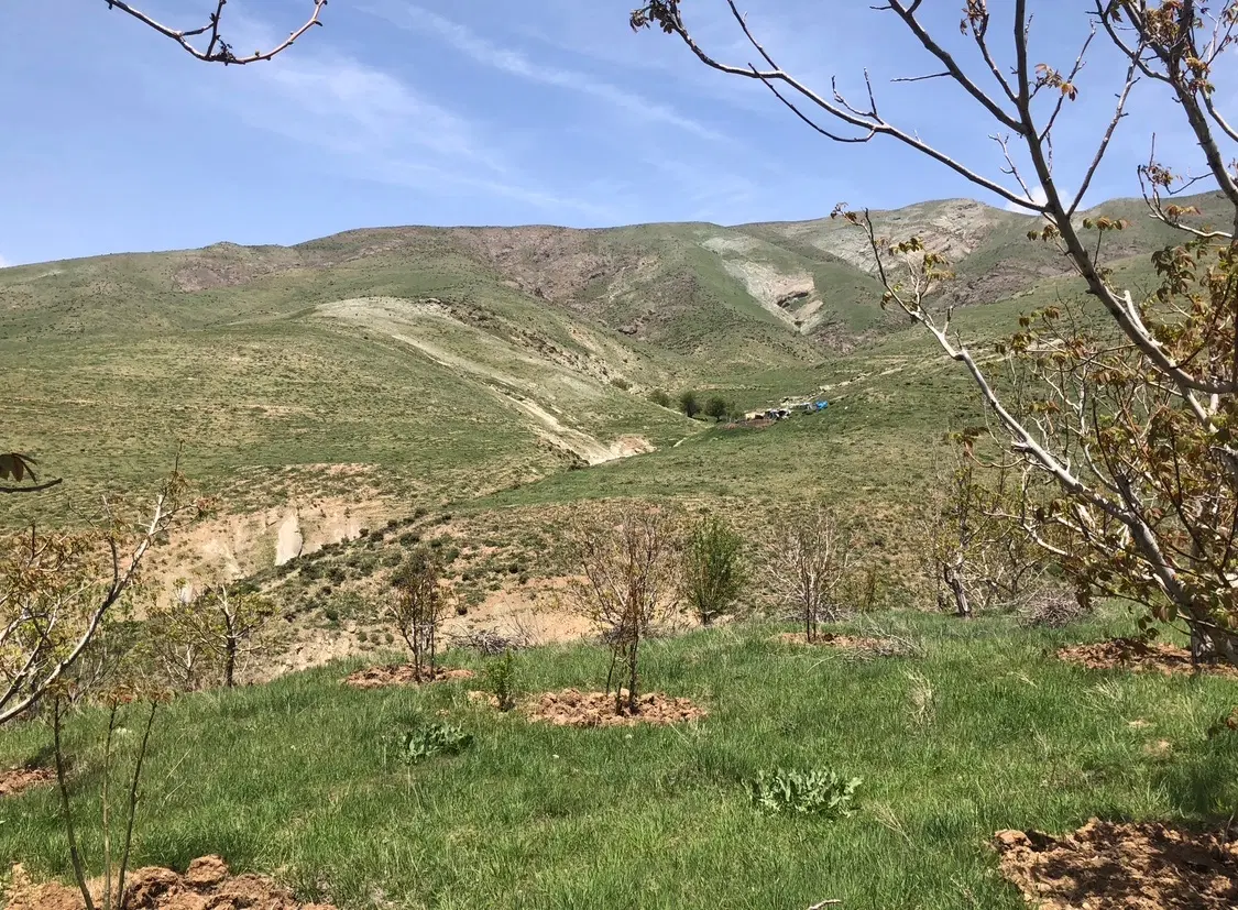 زمین با آب