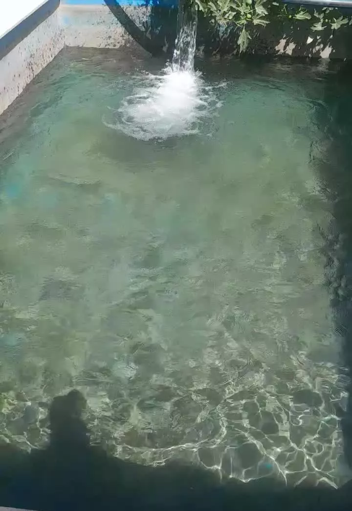 فروش باغچه ۶۰۰ متری فرخ اباد