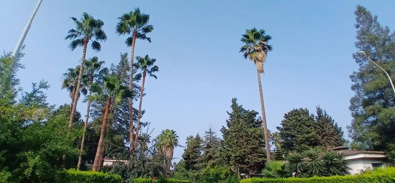حدود ۵۰۰۰ متر زمین کشاورزی ایزدشهر