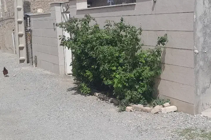 خانه ویلایی واقع در روستا