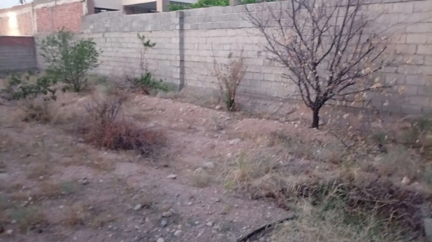 هفت باغ دهکده آبشار طلایی