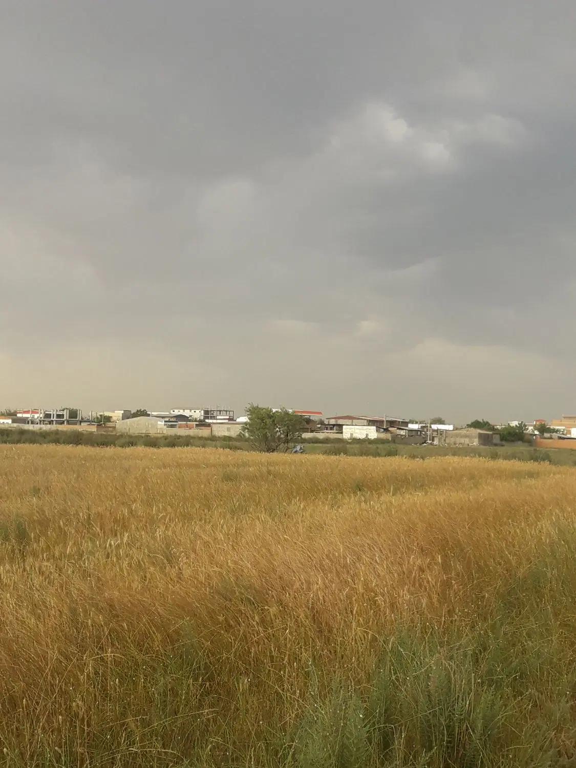 فروش زمین